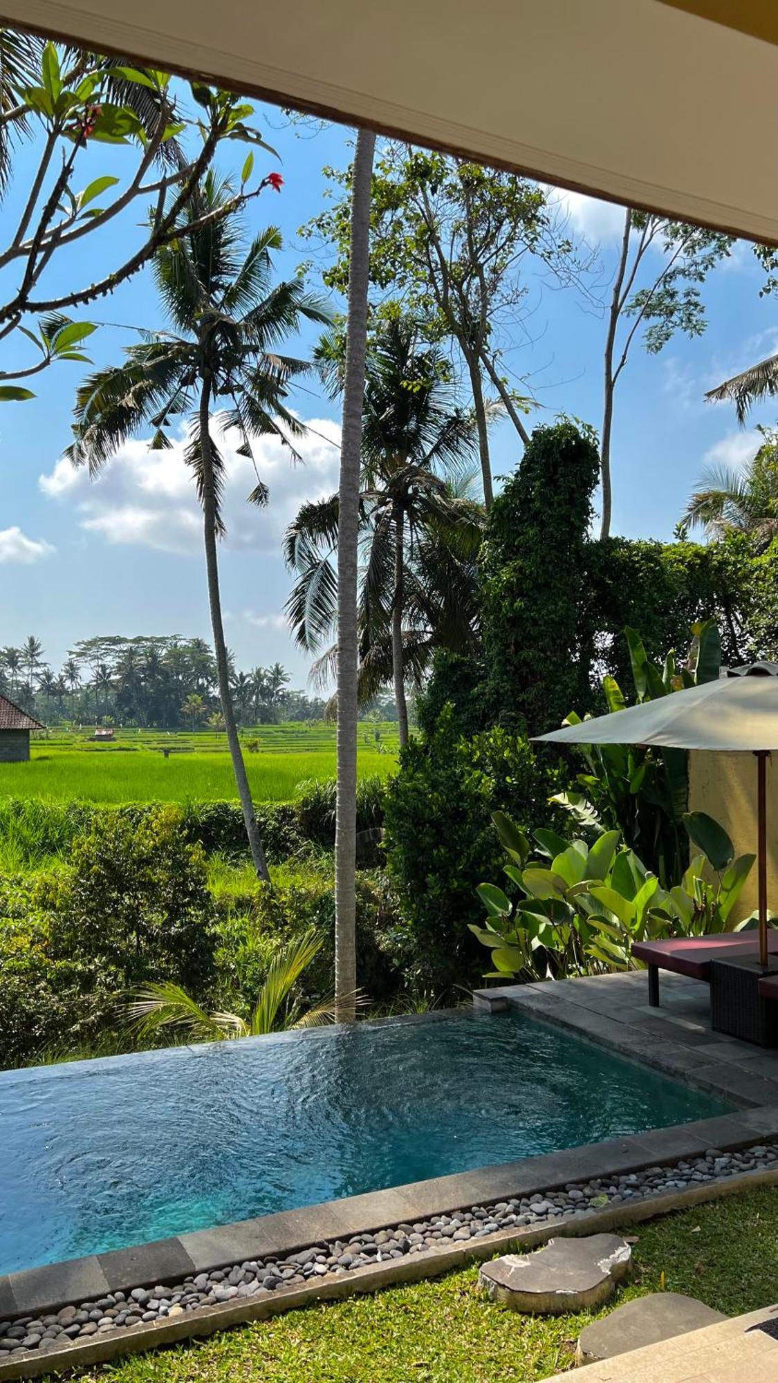 Kubu Bali Baik Villa & Resort - Chse Certified Ubud Extérieur photo