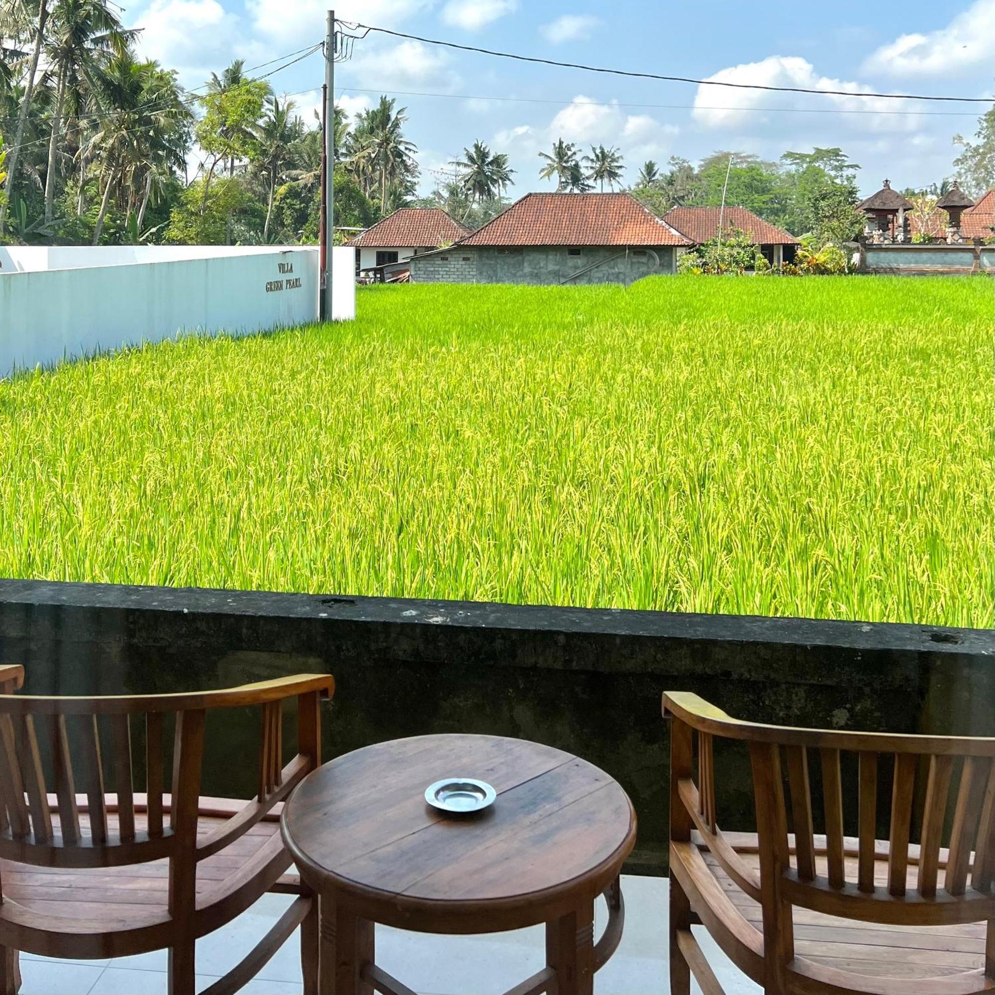 Kubu Bali Baik Villa & Resort - Chse Certified Ubud Extérieur photo