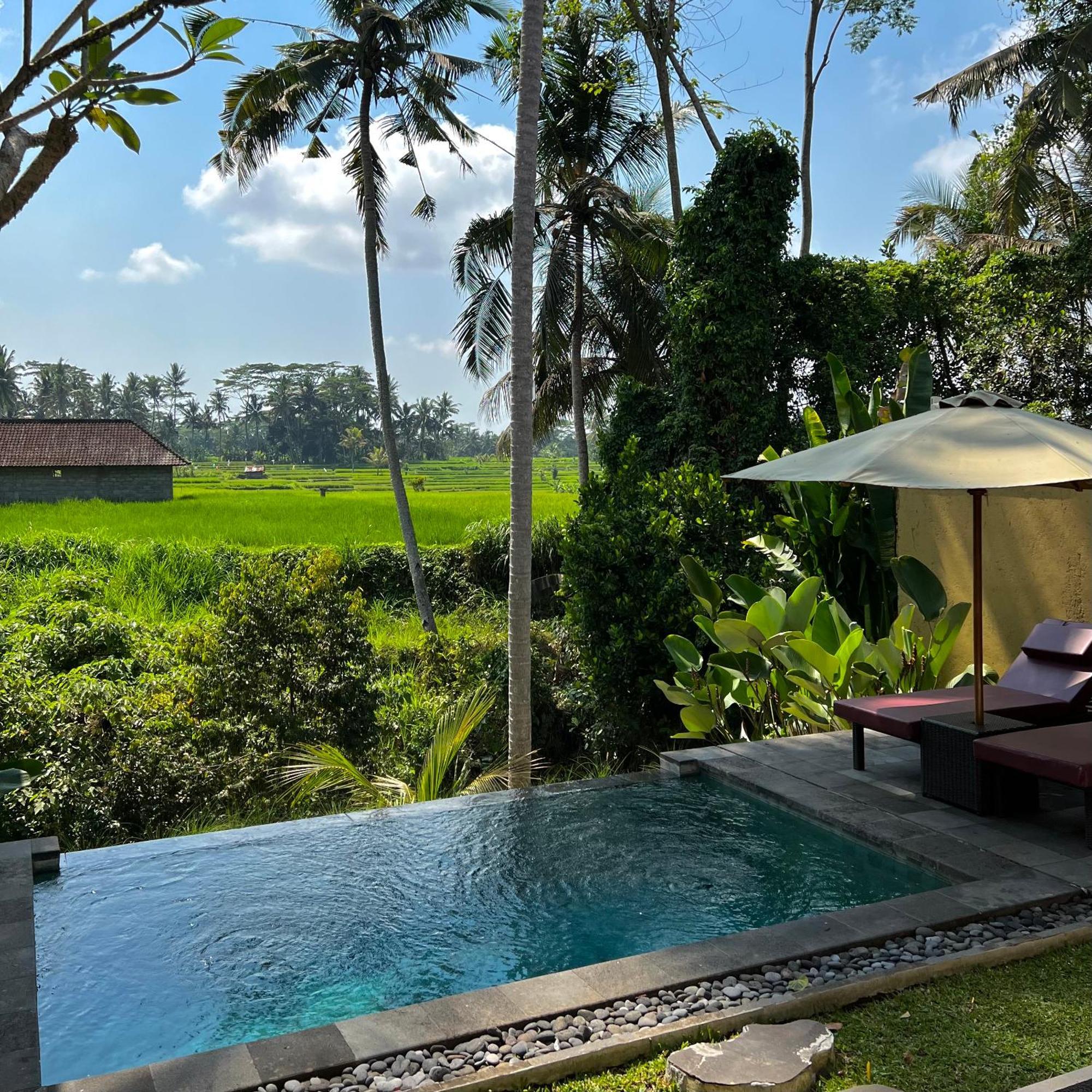 Kubu Bali Baik Villa & Resort - Chse Certified Ubud Extérieur photo
